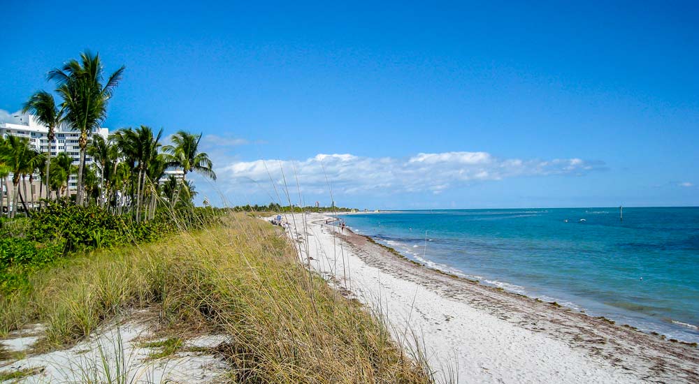 Key Biscayne Beach near Crandon Park